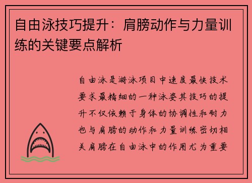 自由泳技巧提升：肩膀动作与力量训练的关键要点解析